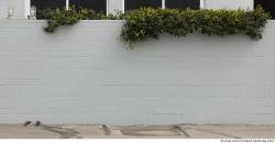 Photo Textures of Wall Mixed